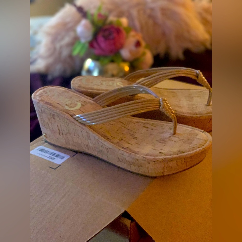 Sam Edelman Circus Wedge Sandals. New in Box Size 11